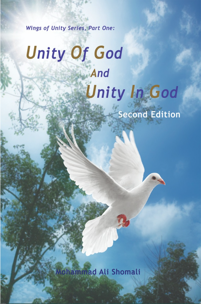 Unity of God and Unity in God, 2nd edition
